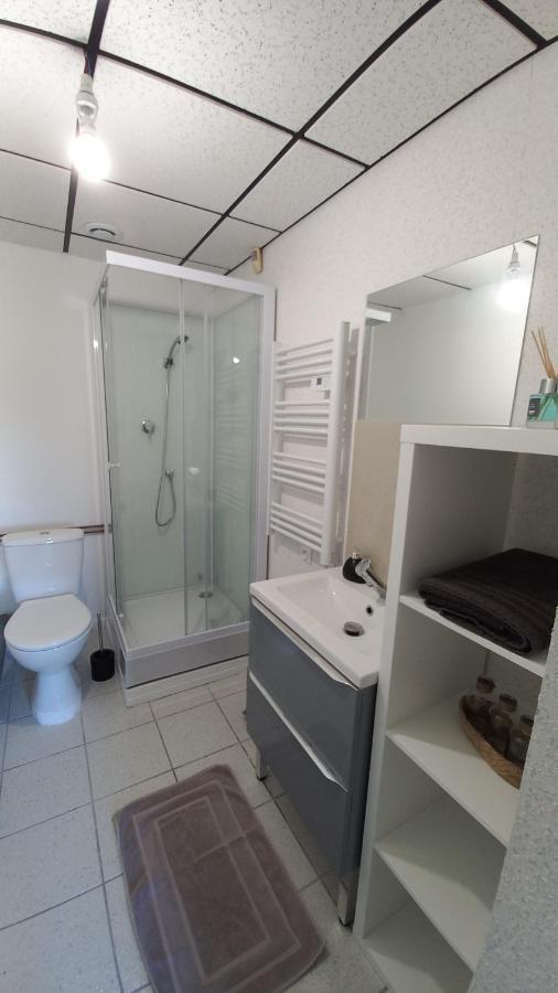Adorable Studio Avec Entree Independante Діжон Екстер'єр фото